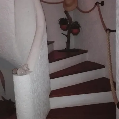 Swim&beach * 托雷拉