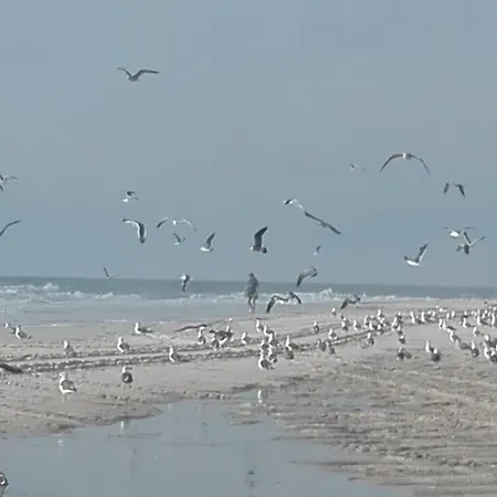 Swim&beach * 托雷拉