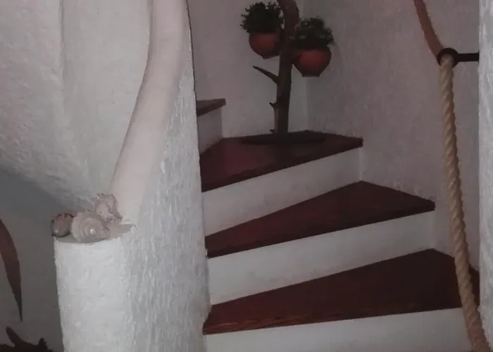 Swim&beach * Torreira