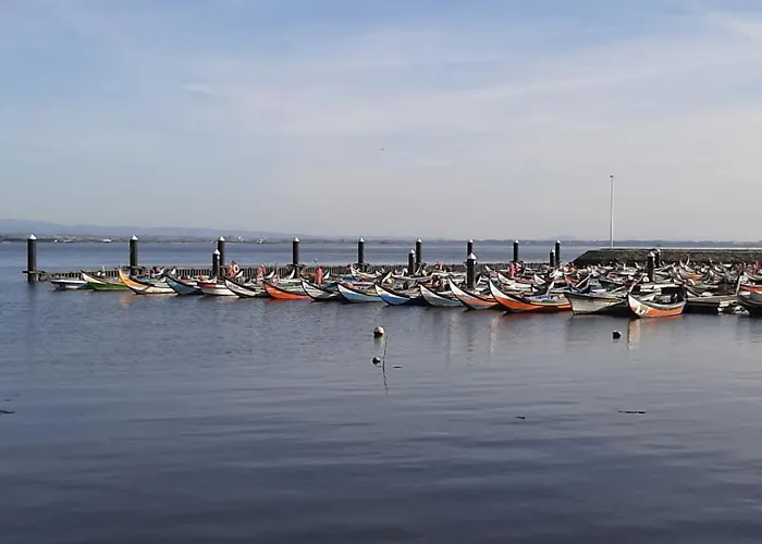 Swim&beach Apartment